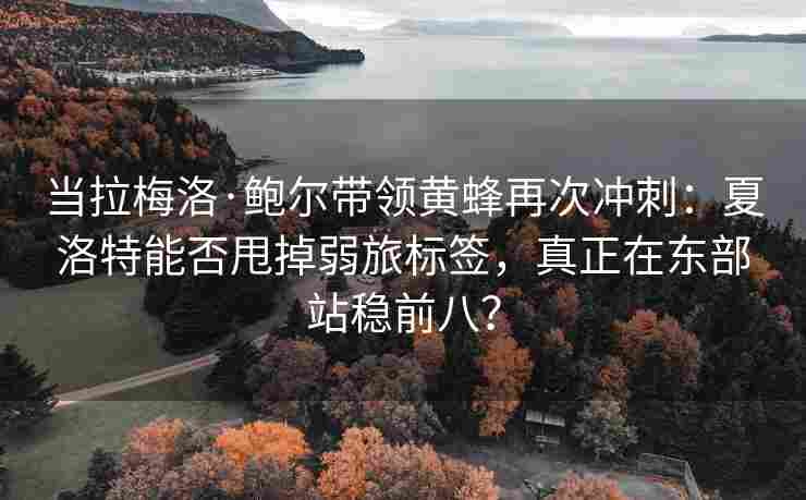 当拉梅洛·鲍尔带领黄蜂再次冲刺：夏洛特能否甩掉弱旅标签，真正在东部站稳前八？