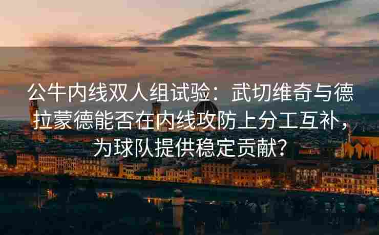 公牛内线双人组试验：武切维奇与德拉蒙德能否在内线攻防上分工互补，为球队提供稳定贡献？