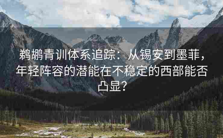 鹈鹕青训体系追踪：从锡安到墨菲，年轻阵容的潜能在不稳定的西部能否凸显？
