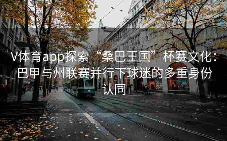 V体育app探索“桑巴王国”杯赛文化：巴甲与州联赛并行下球迷的多重身份认同