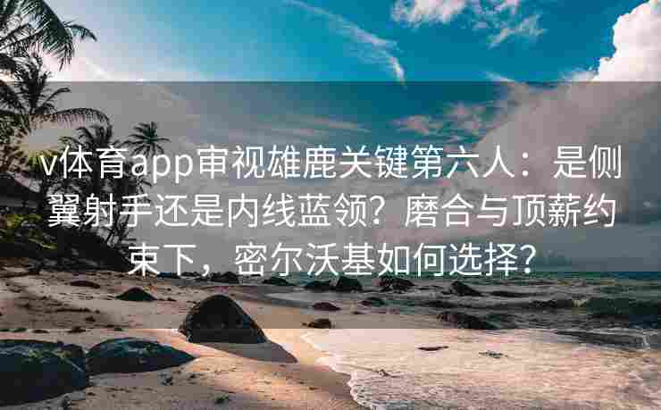v体育app审视雄鹿关键第六人：是侧翼射手还是内线蓝领？磨合与顶薪约束下，密尔沃基如何选择？