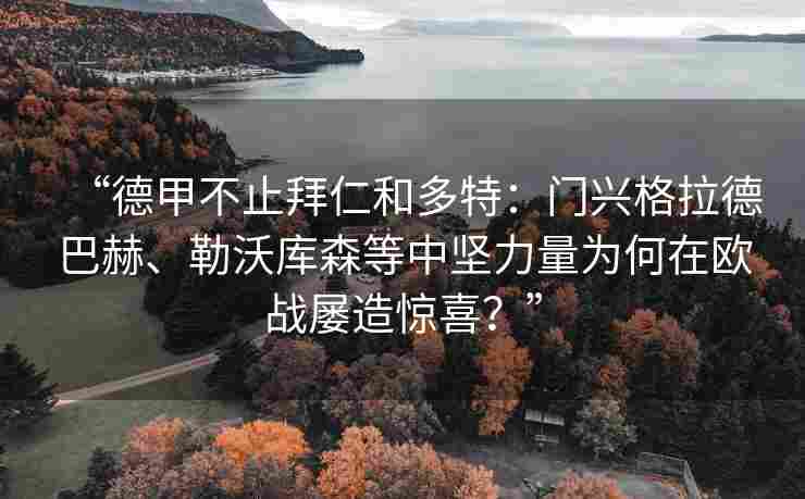 “德甲不止拜仁和多特：门兴格拉德巴赫、勒沃库森等中坚力量为何在欧战屡造惊喜？”